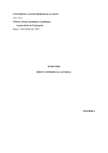 Droit Commercial G&eacute;n&eacute;ral - S&eacute;minaire Master 1