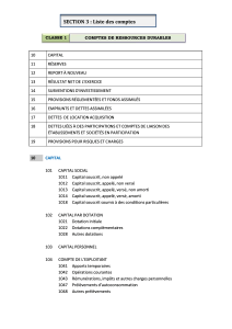 Plan Comptable : Liste des Comptes Classe 1 Ressources Durables