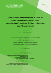 &Eacute;tude d'impact environnemental et social au B&eacute;nin : capitalisation de l'exp&eacute;rience de l'ABE