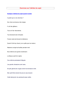 Exercices sur l'attribut du sujet - Andr&eacute;e Otte