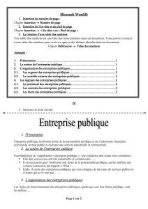 Exercice table des mati&egrave;res Word : Entreprise publique