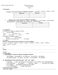 Contr&ocirc;le Continu 6AEP : Grammaire, Conjugaison, Lexique