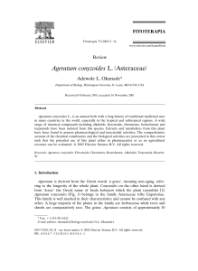 Review of Ageratum conyzoides L. (Asteraceae)