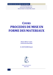Cours Proc&eacute;d&eacute;s de Mise en Forme des Mat&eacute;riaux - Master LMD