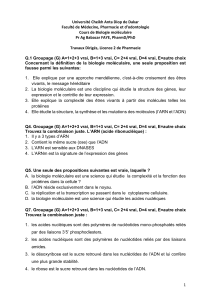 Quiz Biologie Mol&eacute;culaire Licence 2 Pharmacie