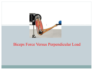 Biceps Force vs Perpendicular Load Experiment