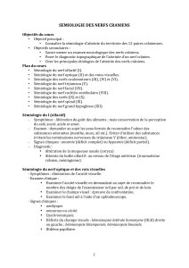 S&eacute;miologie des Nerfs Cr&acirc;niens - Guide d'Examen Neurologique