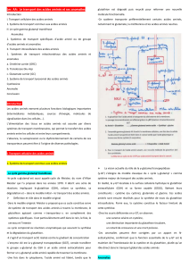 Transport des acides amin&eacute;s et anomalies