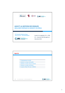 ALM et Gestion des Risques: Aper&ccedil;u des Meilleures Pratiques