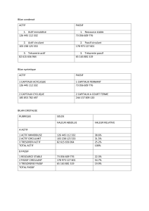 Analyse du bilan comptable : condens&eacute;, synth&eacute;tique, cristalis&eacute;