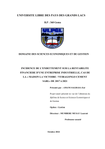 Th&egrave;se sur l'impact de l'endettement sur la rentabilit&eacute; financi&egrave;re d'une entreprise industrielle