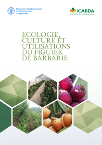 &Eacute;cologie, Culture & Utilisations du Figueier de Barbarie
