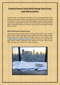 Mold Damage Legal Representation for Property Owners