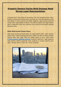 Mold Damage Legal Help for Property Owners