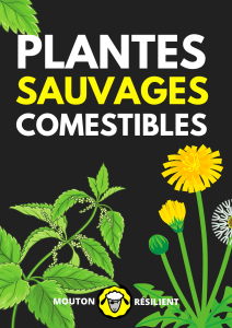 Plantes sauvages comestibles : guide de survie