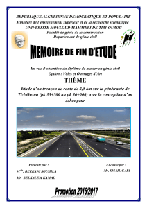M&eacute;moire de master en g&eacute;nie civil : &Eacute;tude d'un tron&ccedil;on de route avec &eacute;changeur