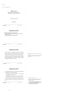 R&eacute;plication de l'ADN - Biologie Mol&eacute;culaire I