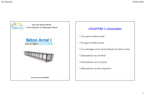 B&eacute;ton Arm&eacute; I : Manuel Universitaire - Chapitre 1