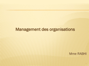 Management des organisations : concepts et processus