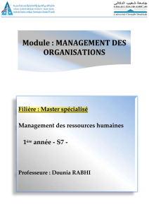 Module de Management des Organisations - Master MRH
