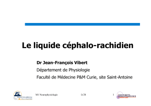 2007-neurophysio-LCR-jfv