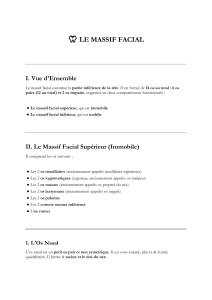 Anatomie du Massif Facial : Os et Structure