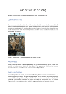 Cas de sueurs de sang : parafilariose bovine