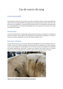 Cas de sueurs de sang : parafilariose bovine