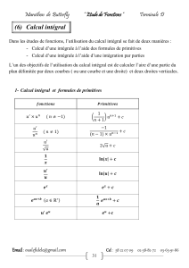 Calcul int&eacute;gral - Guide d'&eacute;tude pour Terminale D
