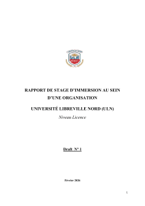 Rapport de stage d'immersion - Template ULN Licence
