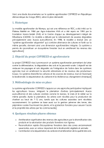 Syst&egrave;me Agroforestier COPIREED en RDC : &Eacute;tude