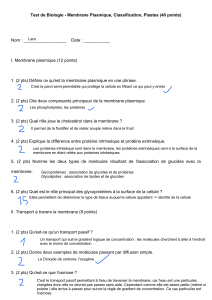 Test de Biologie : Membrane Plasmique, Classification, Plastes (40 points)
