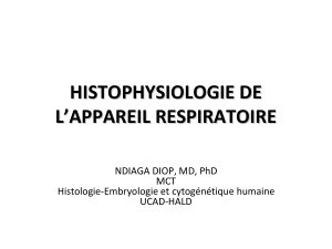Histophysiologie de l'appareil respiratoire &ndash; Ndiaga Diop