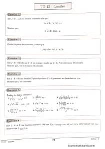 TD 12: Limits - College Math Exercises