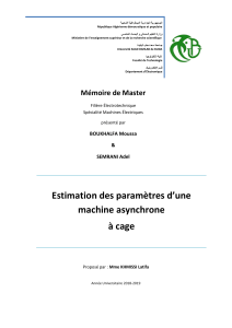 Estimation des param&egrave;tres d'une machine asynchrone &agrave; cage - M&eacute;moire de Master