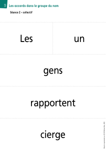 Exercices de grammaire : accords dans le groupe du nom (CE2)