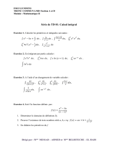 S&eacute;rie de TD 01 : Calcul int&eacute;gral - Math&eacute;matiques II
