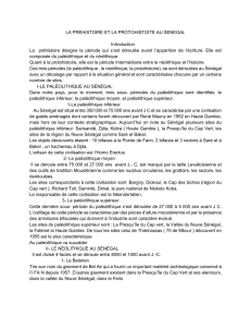 Pr&eacute;histoire et Protohistoire au S&eacute;n&eacute;gal: Pal&eacute;olithique, N&eacute;olithique, M&eacute;galithes