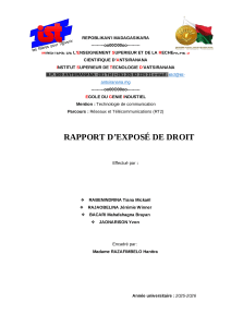 Rapport de Droit - Propri&eacute;t&eacute; Intellectuelle et Vie Priv&eacute;e Madagascar