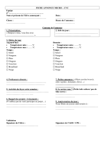 Mod&egrave;le d'annonce scolaire Fiche Annonce Micro - CVC