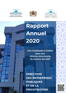 Relat&oacute;rio Anual 2020: Reforma do Setor de Empresas P&uacute;blicas
