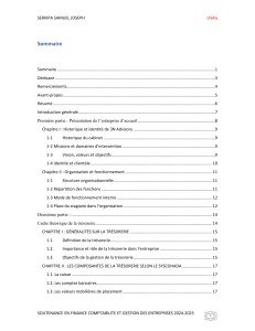 Rapport de stage : Gestion de la tr&eacute;sorerie chez 3N Advisory