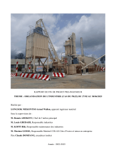 Rapport projet pr&eacute;-ing&eacute;nieur : Organisation de l'industrie (PK22)