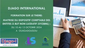 Formation SYCEBNL Comptabilit&eacute; Non Lucrative (2024)