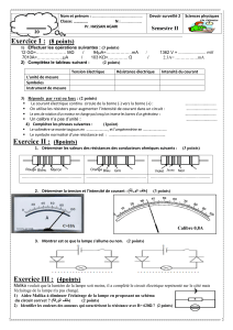 Examen Physique - &Eacute;lectricit&eacute; et Circuits