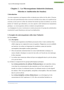 Microorganismes Industriels : Isolement, S&eacute;lection, Am&eacute;lioration