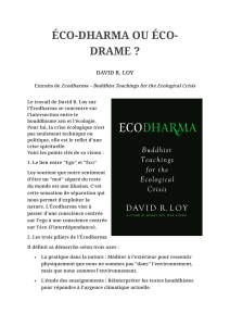 &Eacute;co-Dharma ou &Eacute;co-Drame ? Enseignements bouddhistes pour la crise &eacute;cologique