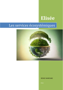 Les services &eacute;cosyst&eacute;miques : D&eacute;finitions et controverses