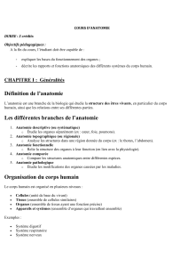 Cours d'anatomie humaine - Chapitre 1 : G&eacute;n&eacute;ralit&eacute;s