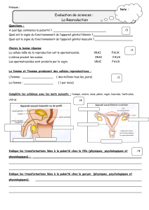 Devoir de sciences : La Reproduction